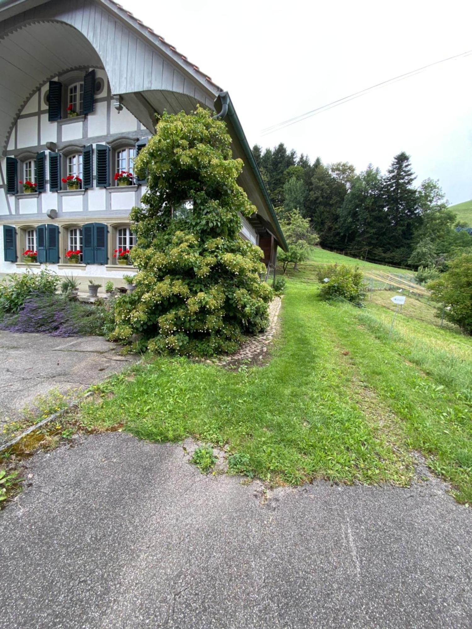 B&B Tannen124 Oberburg Exterior photo